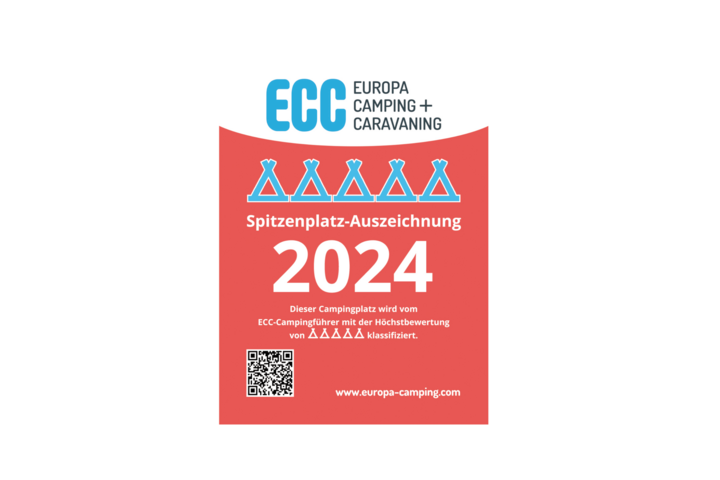 ECC 2024 award 